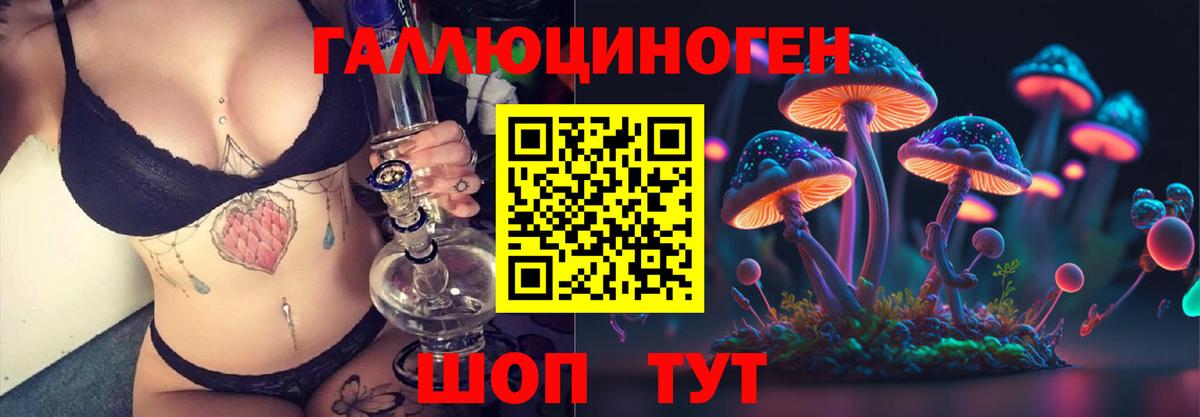 где купить наркоту  Псилоцибиновые грибы Cubensis  Вход с VPN  Минусинск  Псилоцибиновые грибы Psilocybe 